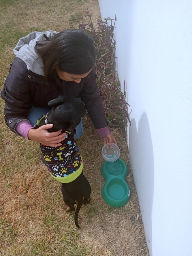 persona que le da agua a un perro